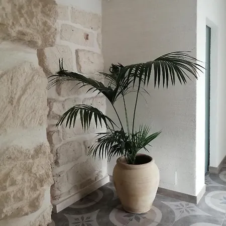 7palazzi *